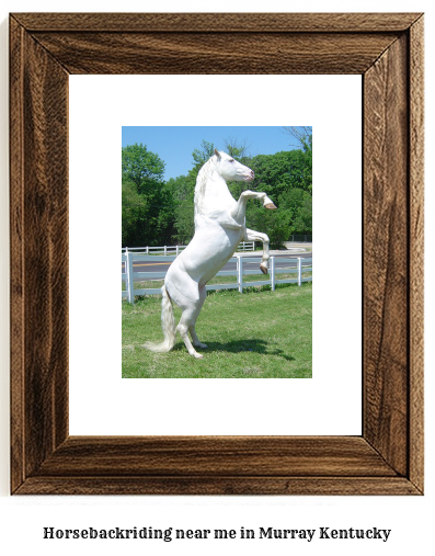 horseback riding near me in Murray, Kentucky